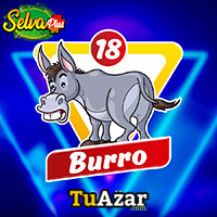 BURRO