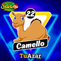 CAMELLO