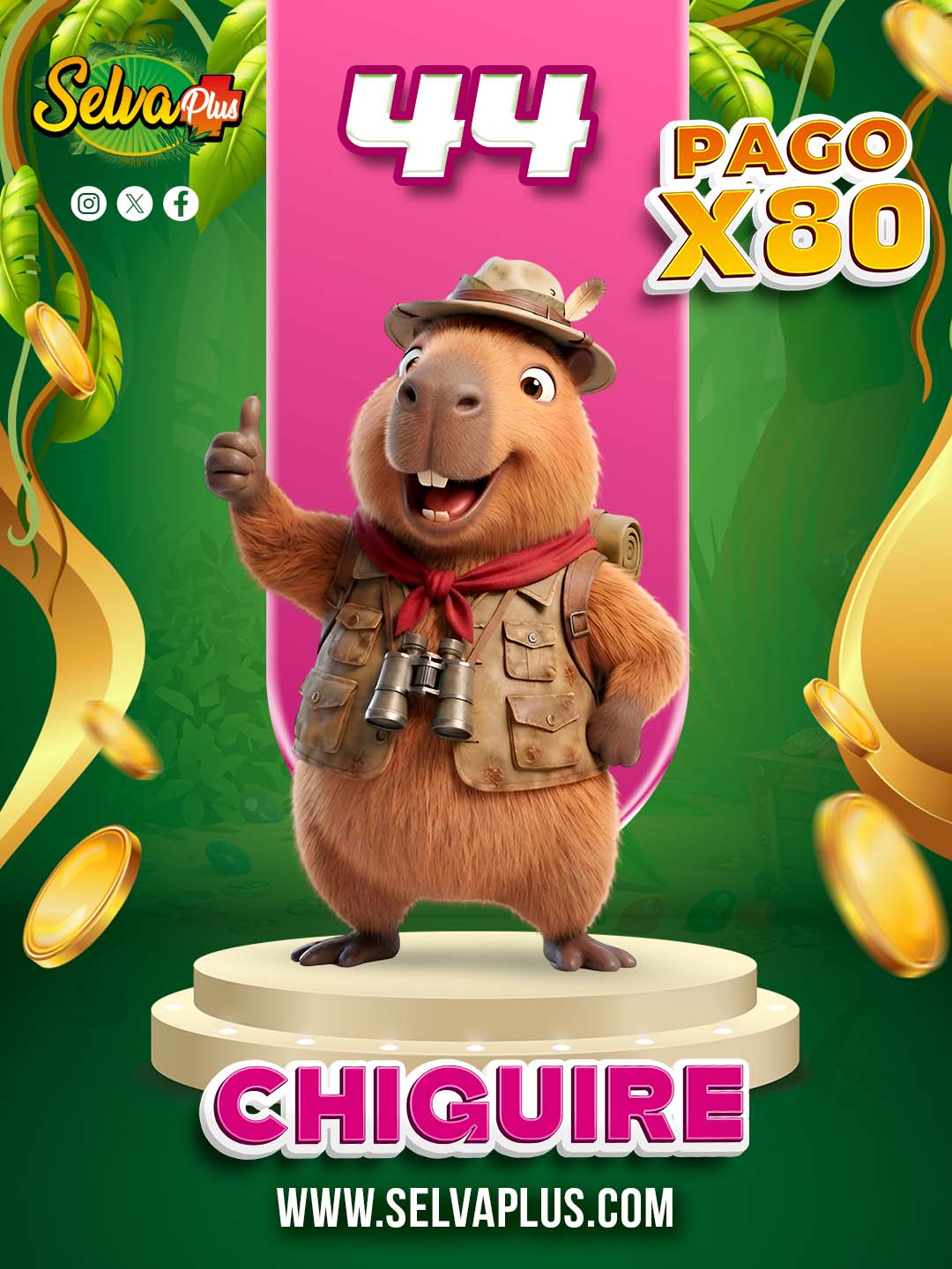 Selva Plus — 44 CHIGUIRE