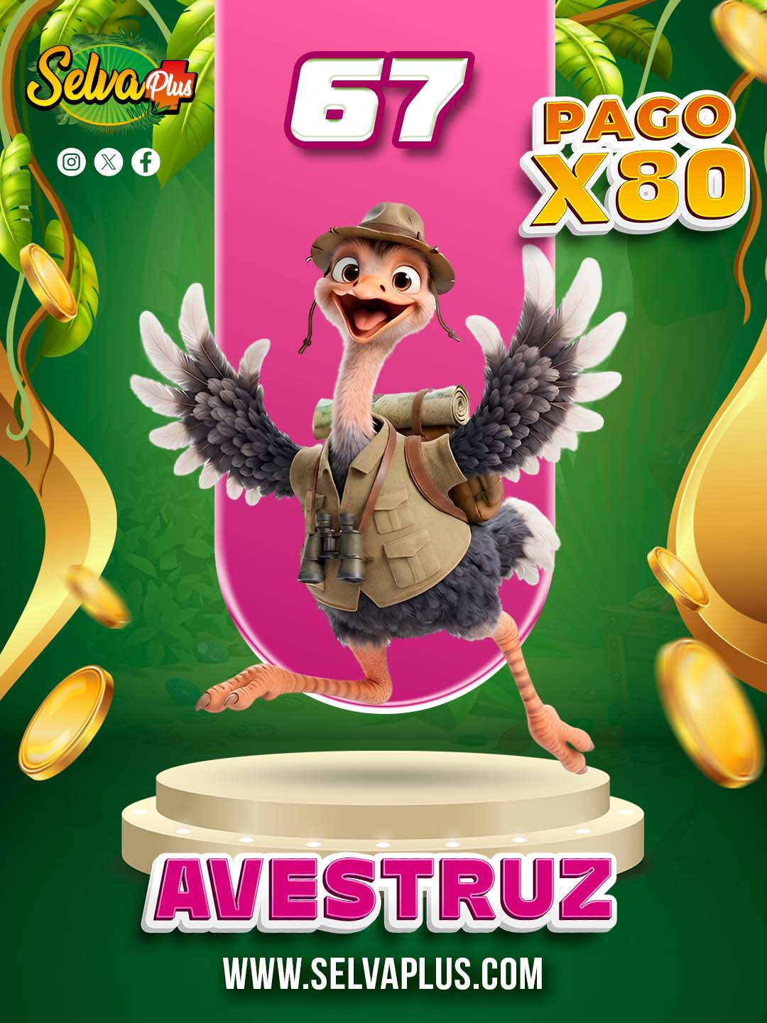 67 AVESTRUZ