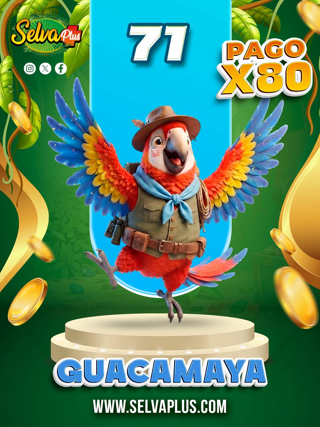 71 GUACAMAYA
