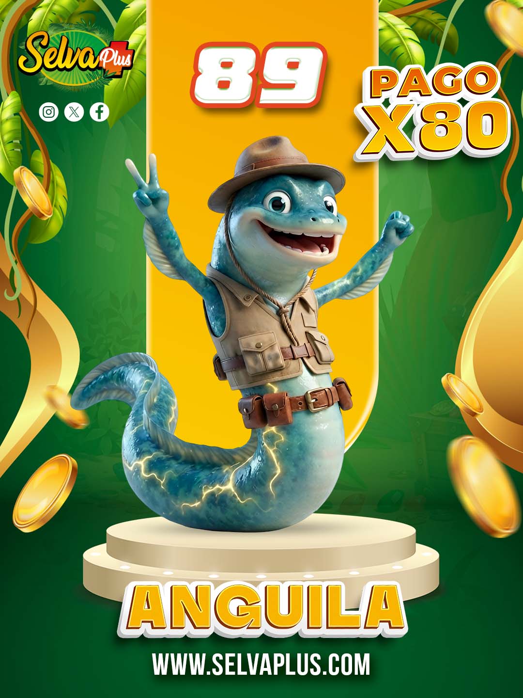 89 ANGUILA