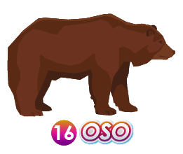 16 OSO
