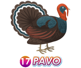 17 PAVO