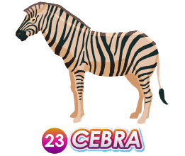 Triple Popular — 23 CEBRA
