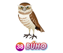 BUHO