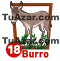BURRO