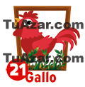 GALLO
