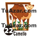 Tropi Gana — 22 CAMELLO