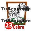CEBRA