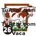 26 VACA