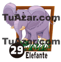 ELEFANTE