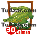 CAIMÁN