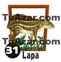 31 LAPA