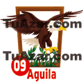 9 ÁGUILA