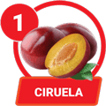 1 - CIRUELA