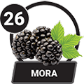 26 - MORA