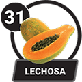 31 - LECHOSA