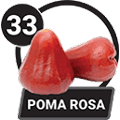 33 - POMARROSA