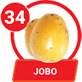 34 - JOBO