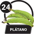 PLÁTANO